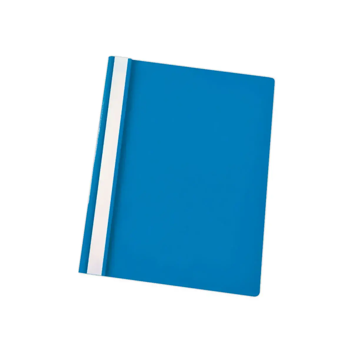 25 Chemises à lamelles A4 Esselte 2832 - bleu - Esselte photo du produit