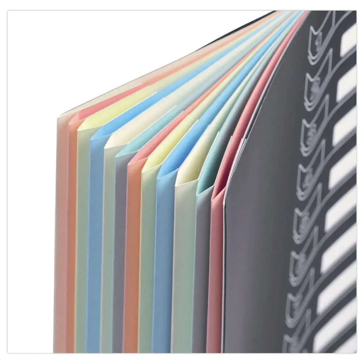 Trieur chemise bi-matière - 12 compartiments - Extendos photo du produit