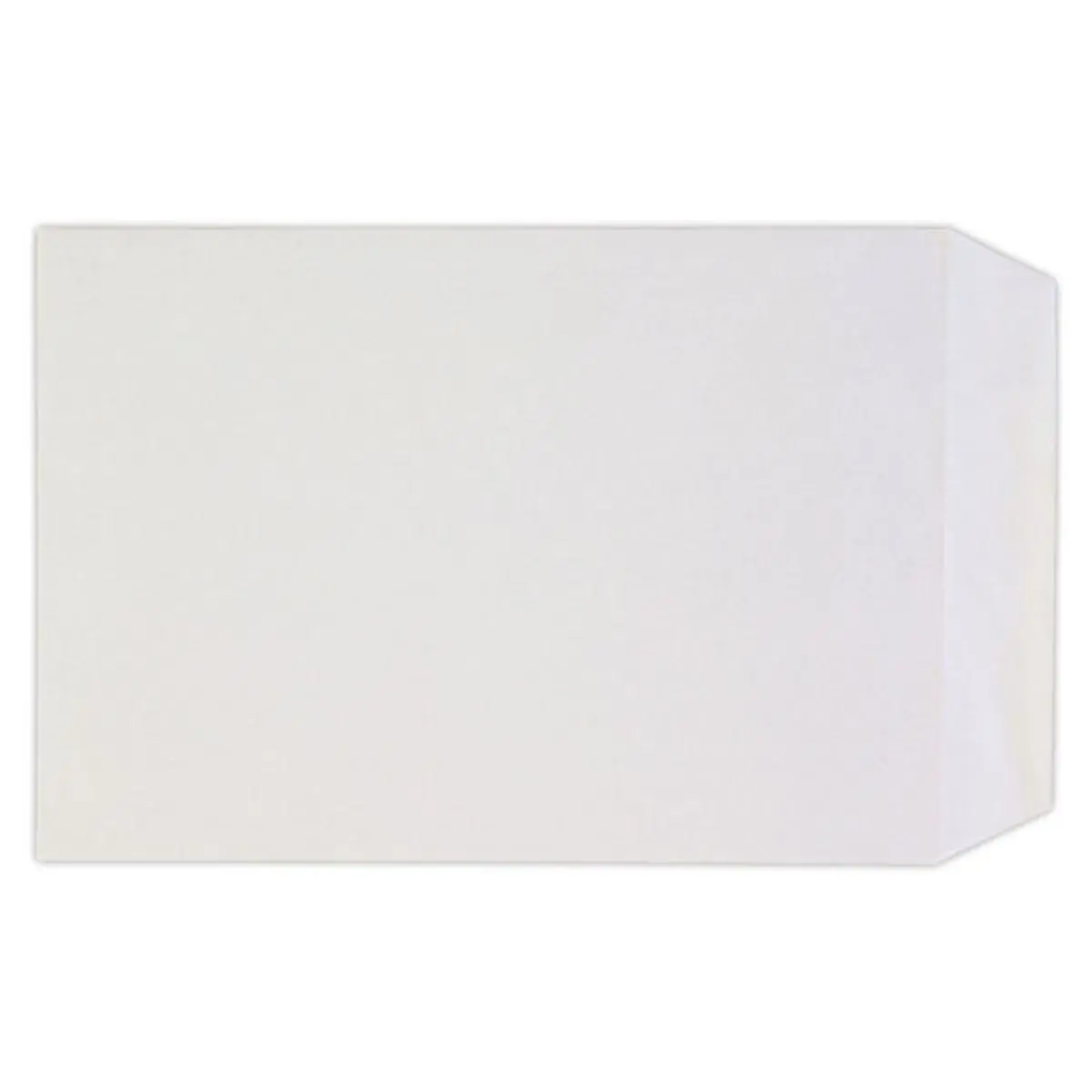 250 Pochettes blanches -90g - 229x324mm - sans fen&ecirc;tre - Gpv Every Day photo du produit