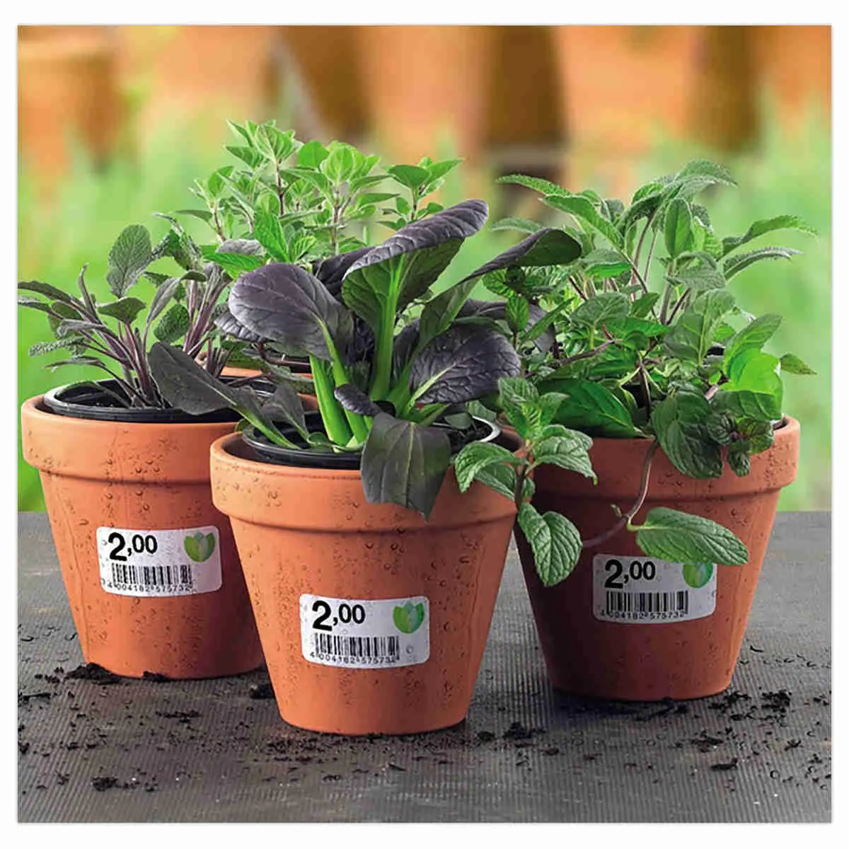 Bo&icirc;te de 20 &eacute;tiquettes inalt&eacute;rables laser -  210x297mm - Blanc - Avery photo du produit