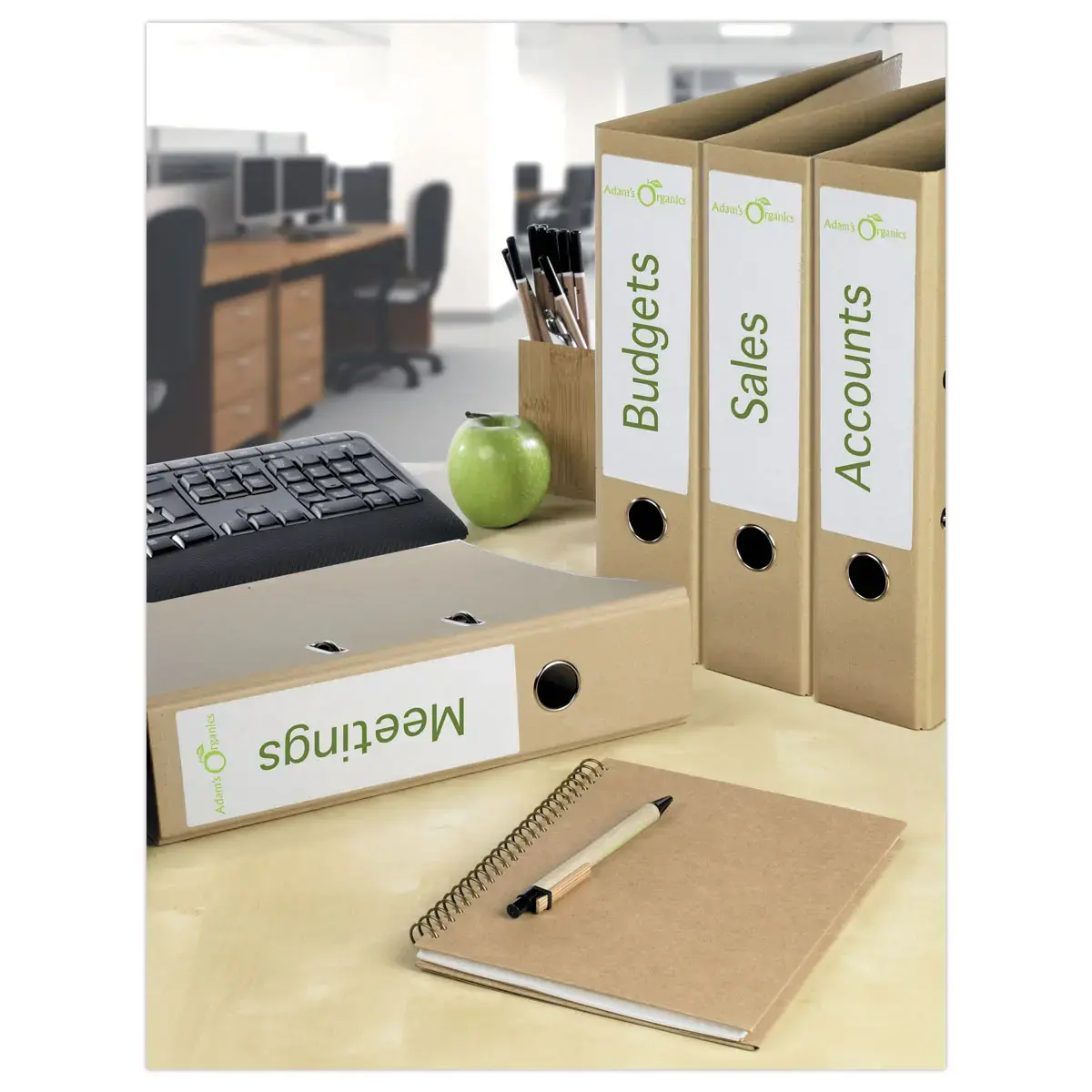 25 Planches de 4 &eacute;tiquettes de classement blanches pour classeur dos large Avery photo du produit