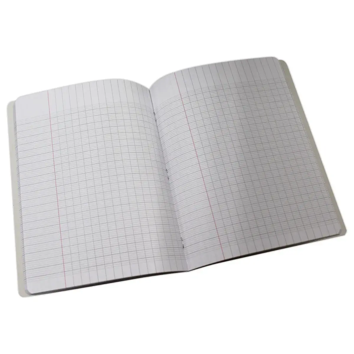 Cahier agrafé - 17 x 22 cm - 96 pages - Réglure Seyès - Access photo du produit
