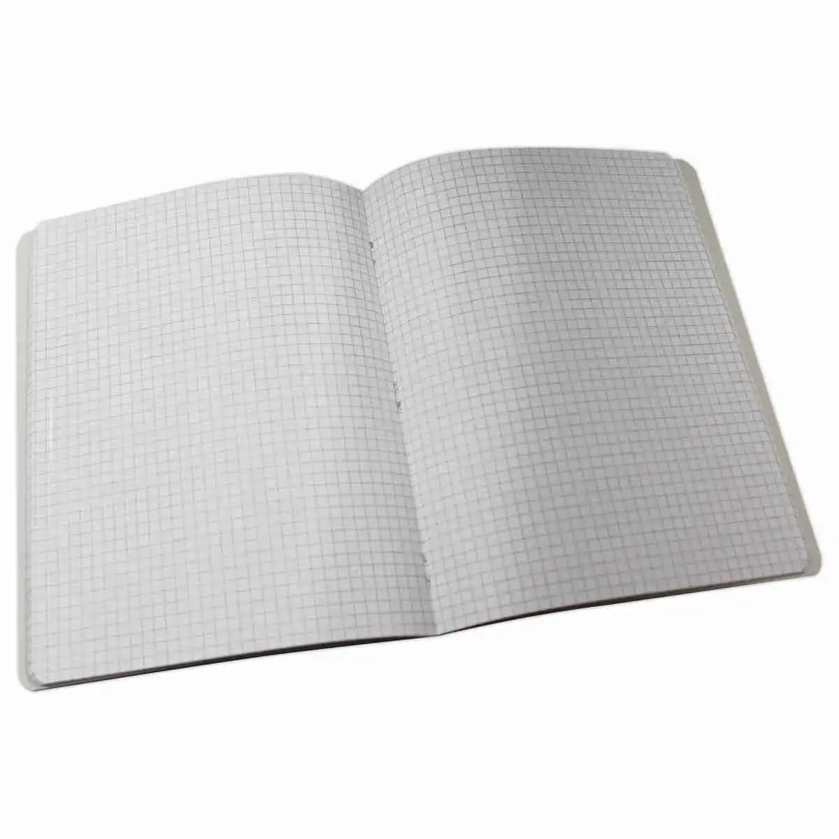 Cahier agrafé - 17 x 22 cm - Carreaux 5x5 - 96 pages - Access photo du produit