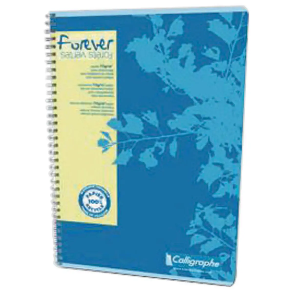 Cahier A4 recycl&eacute; "Forever"  - 5x5 - 70g - Calligraphe photo du produit