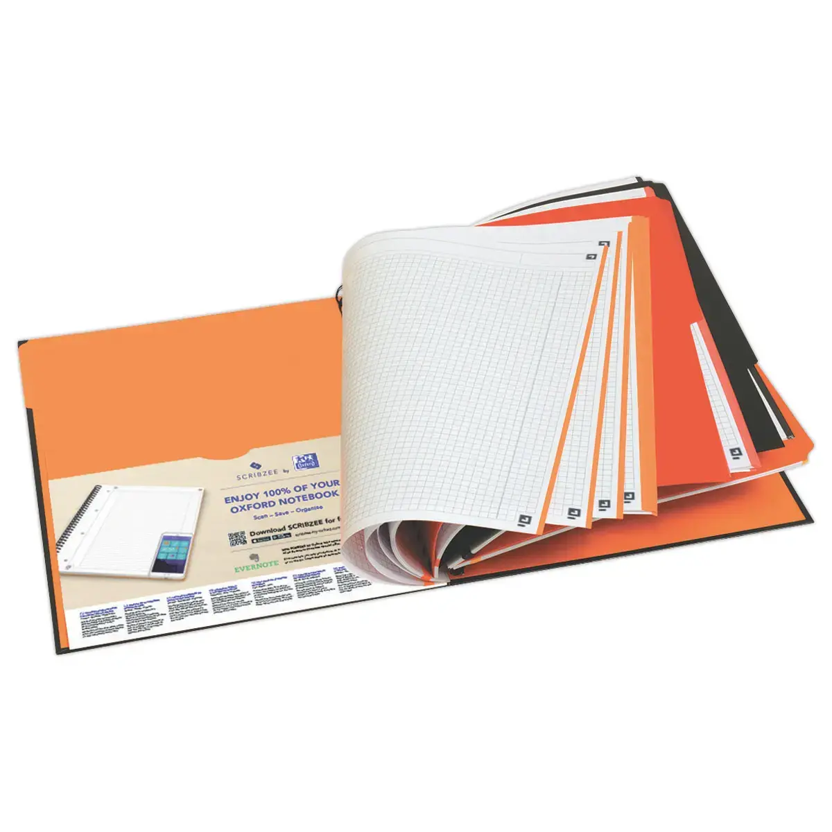 Cahier A4 Filingbook - 5x5 - 80g - Oxford International photo du produit