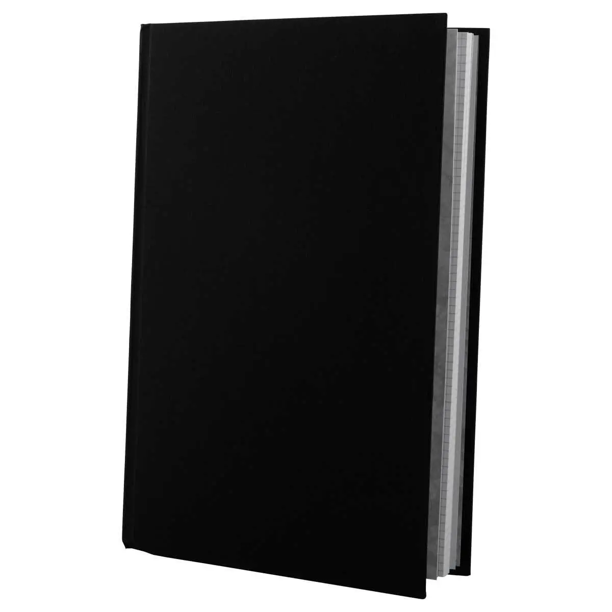 Registre foliot&eacute; 200 pages - Le Dauphin photo du produit