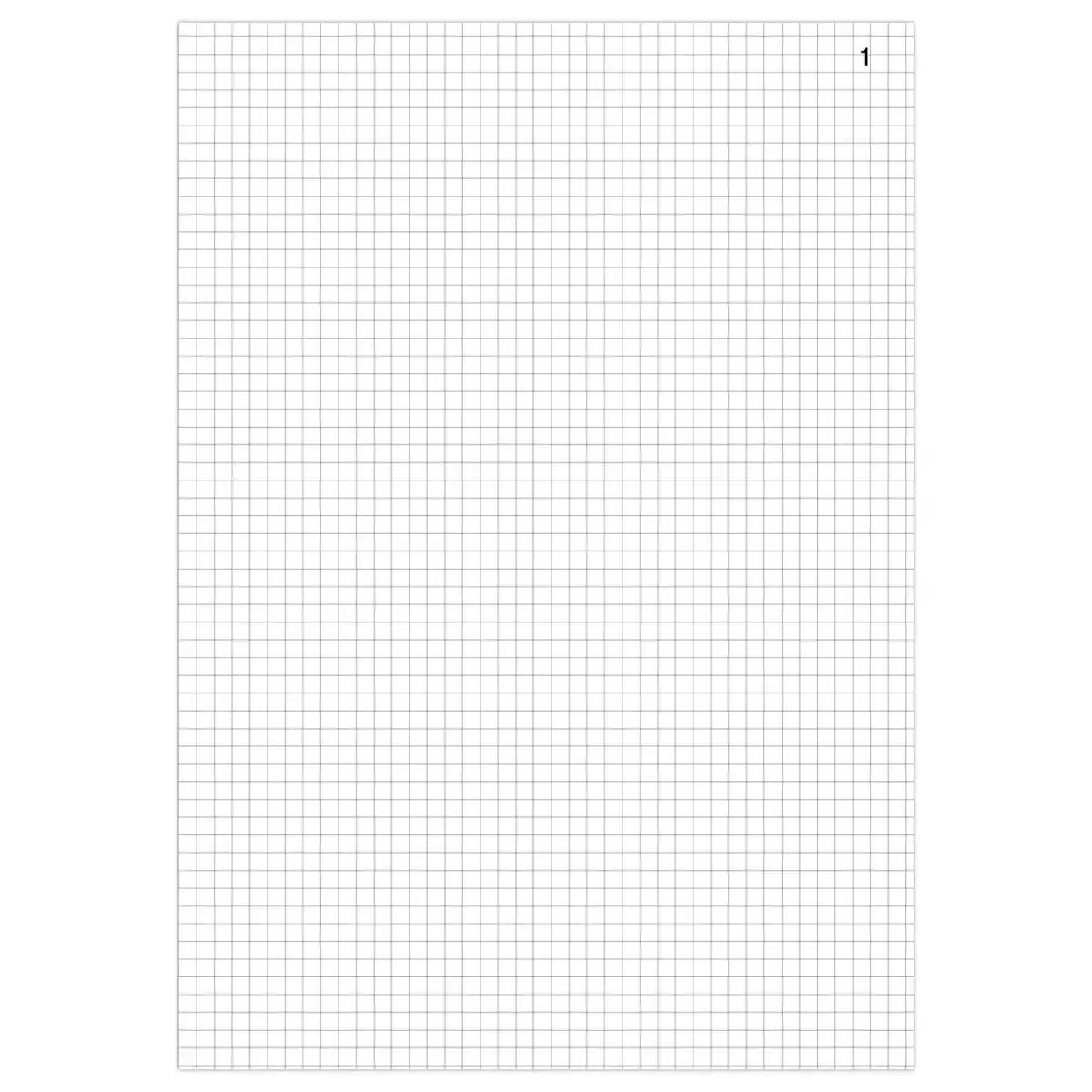 Registre folioté ELVE - 5x5 - Format 23 x 18 cm - 200 pages photo du produit