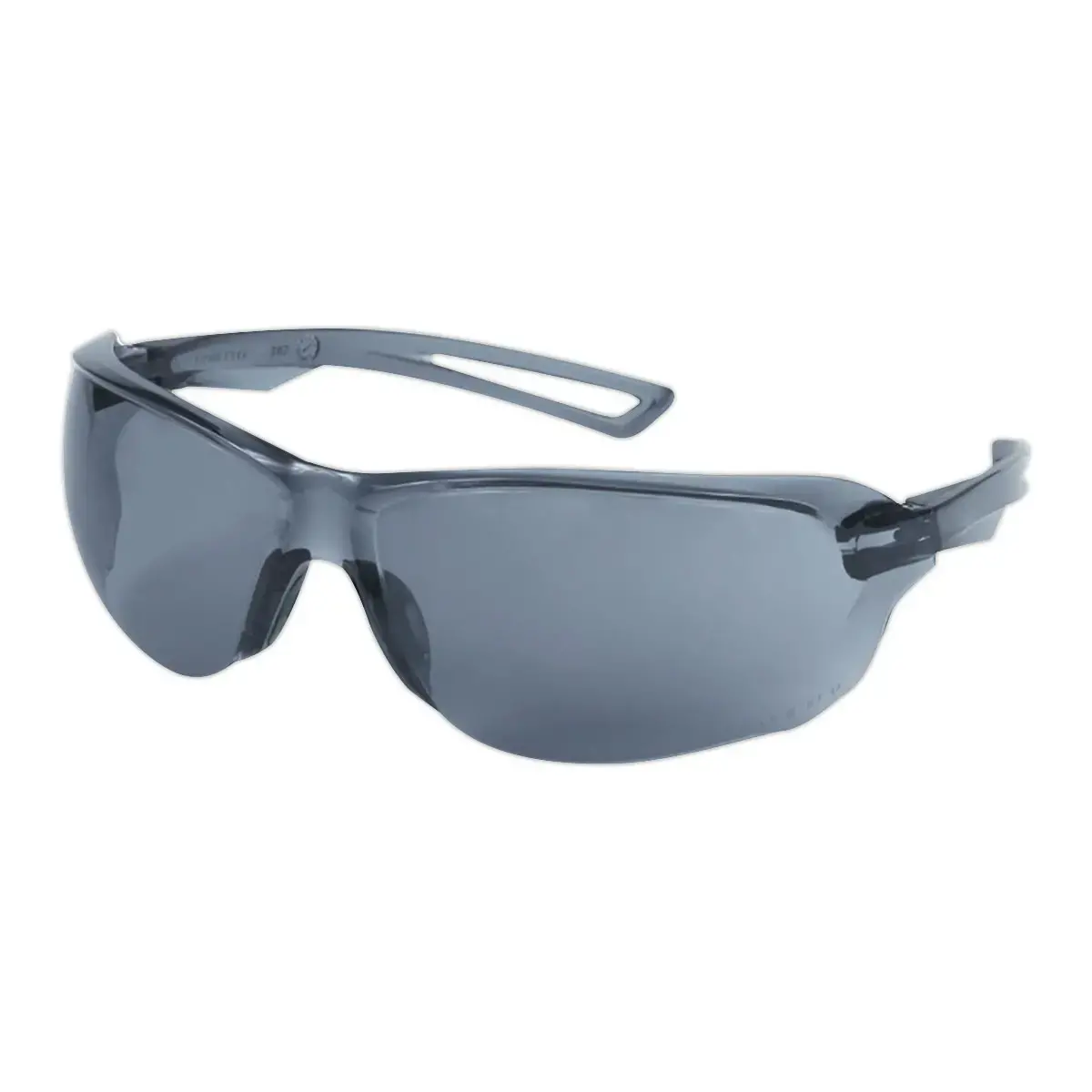 Lunettes de protection BENGALE - Protection solaire - Résistantes - RG photo du produit
