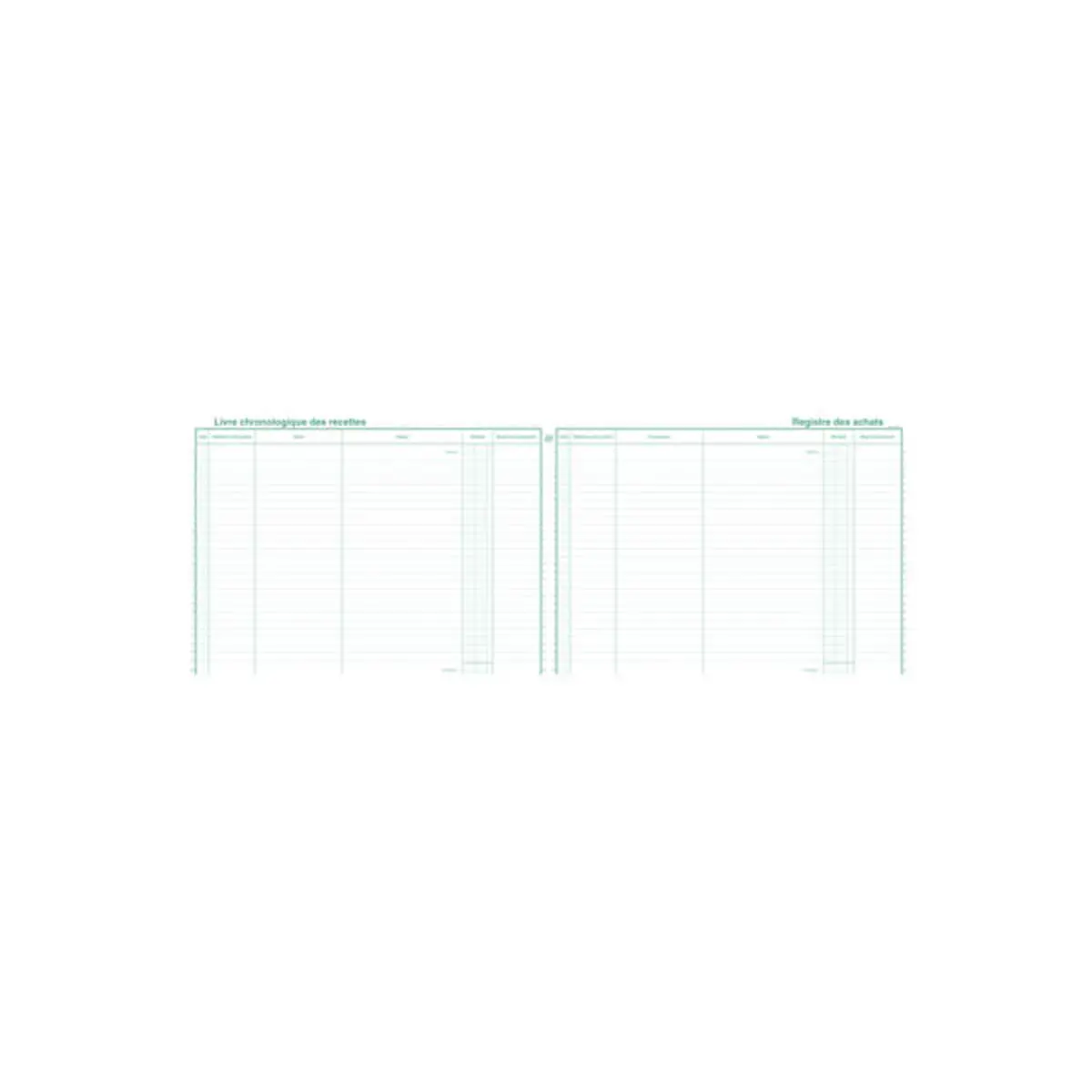 Piqûre 24x32cm Livre chronologique des recettes - Registre des achats - Spécial micro-entrepreneurs - 80 pages - EXACOMPTA photo du produit