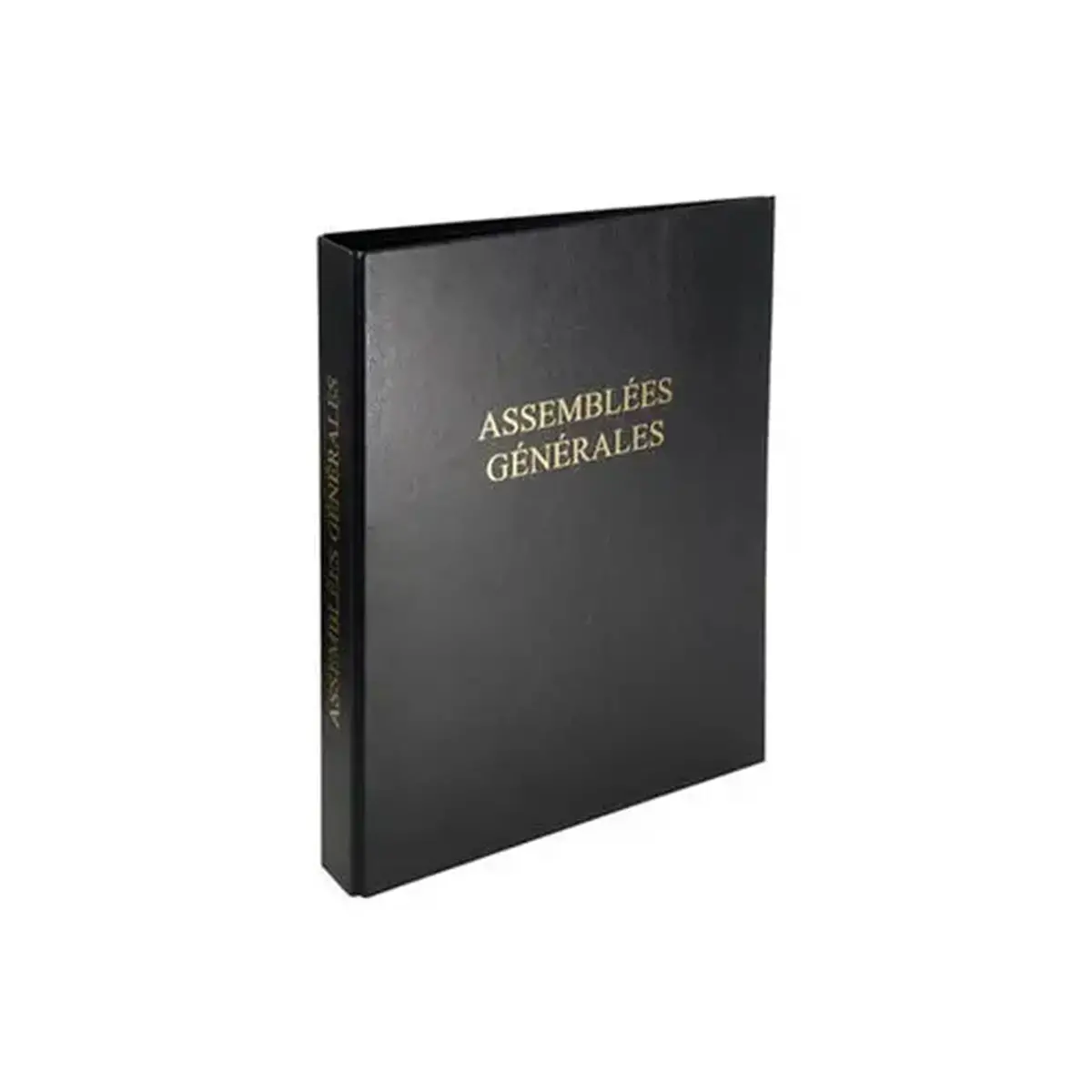 Reliure registre &eacute;conomique 32x26cm 4 anneaux - Assembl&eacute;es g&eacute;n&eacute;rales - EXACOMPTA photo du produit