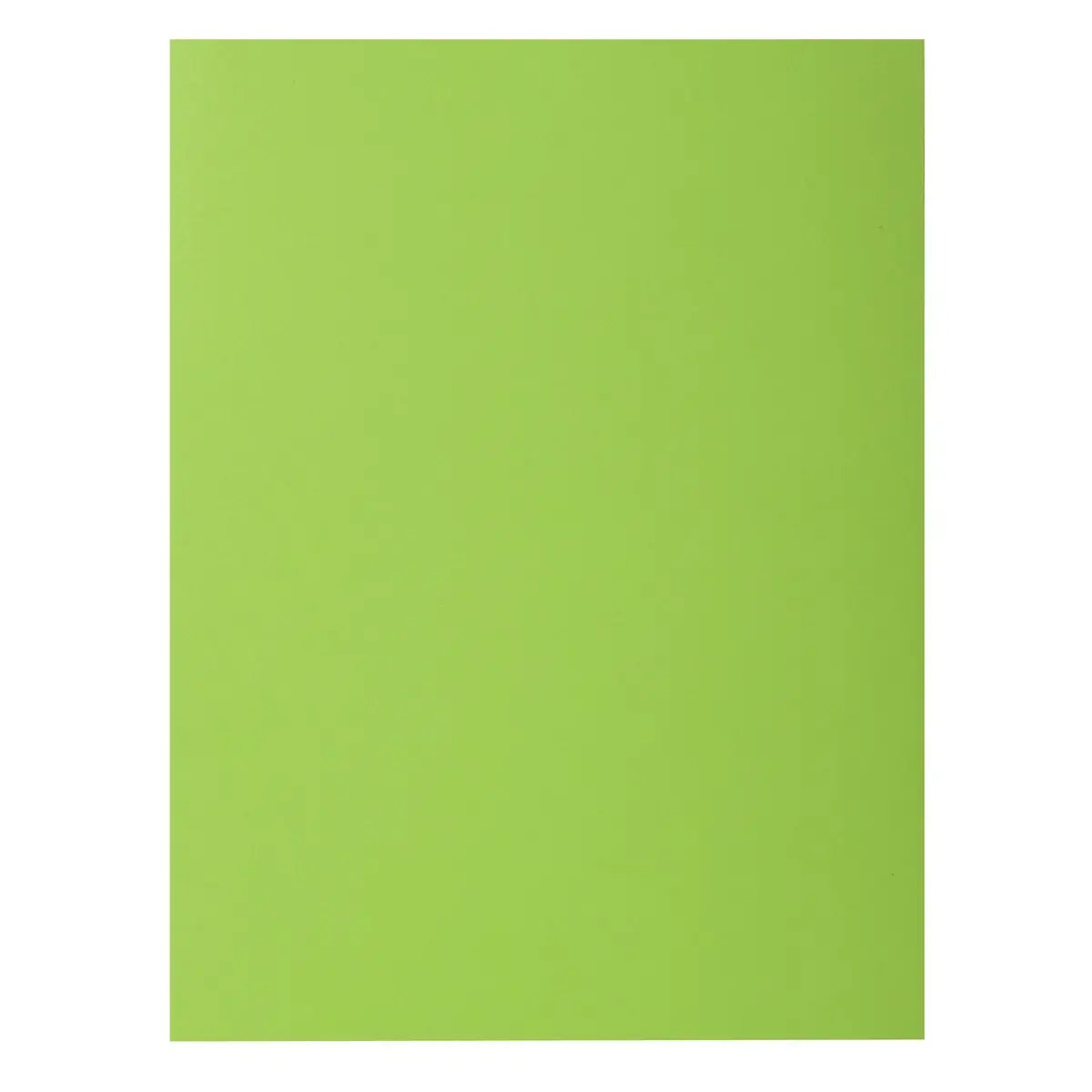 Paquet de 30 sous-chemises ROCK''S 80 - 22x31cm - Vert - EXACOMPTA photo du produit