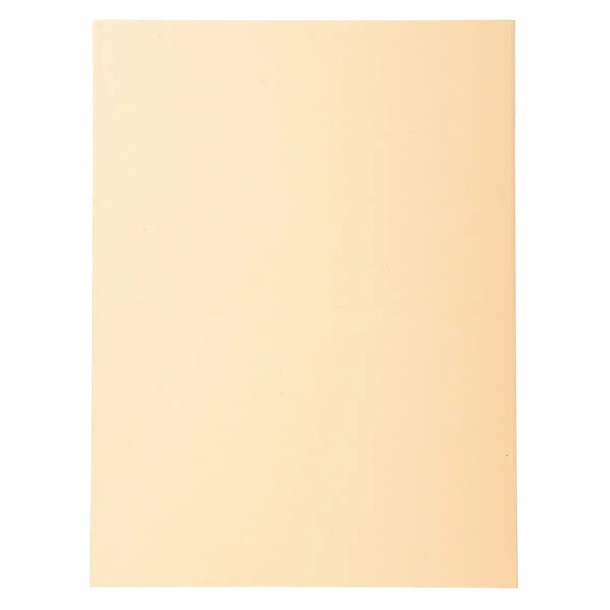 Paquet de 100 chemises Forever&reg; 220 100% recycl&eacute; - 24x32cm - Bulle - EXACOMPTA photo du produit