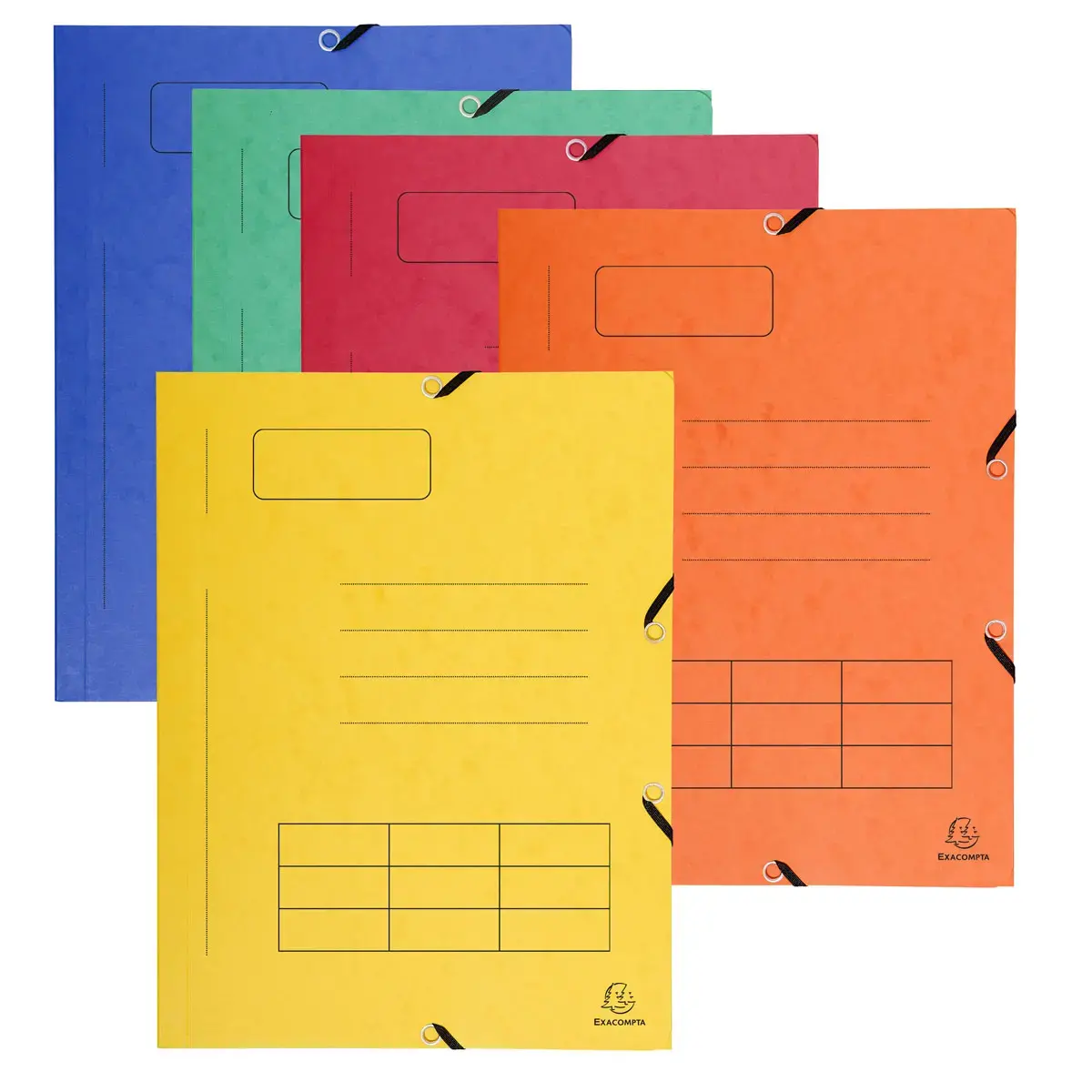 Chemise &agrave; &eacute;lastique Imprim&eacute;e 3 rabats carte lustr&eacute;e 355gm&sup2; - A4 - Couleurs assorties - EXACOMPTA photo du produit