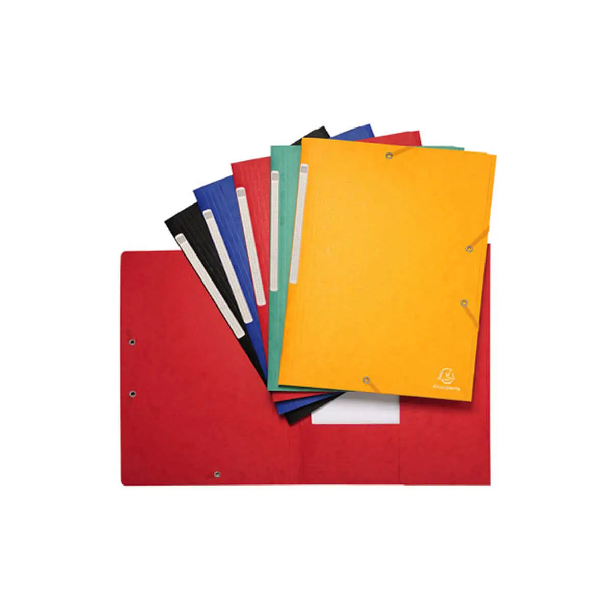 Chemise 3 rabats à élastiques Maxi Capacity carte lustrée 600g/m2 Scotten ®- A4 - Couleurs assorties - EXACOMPTA photo du produit