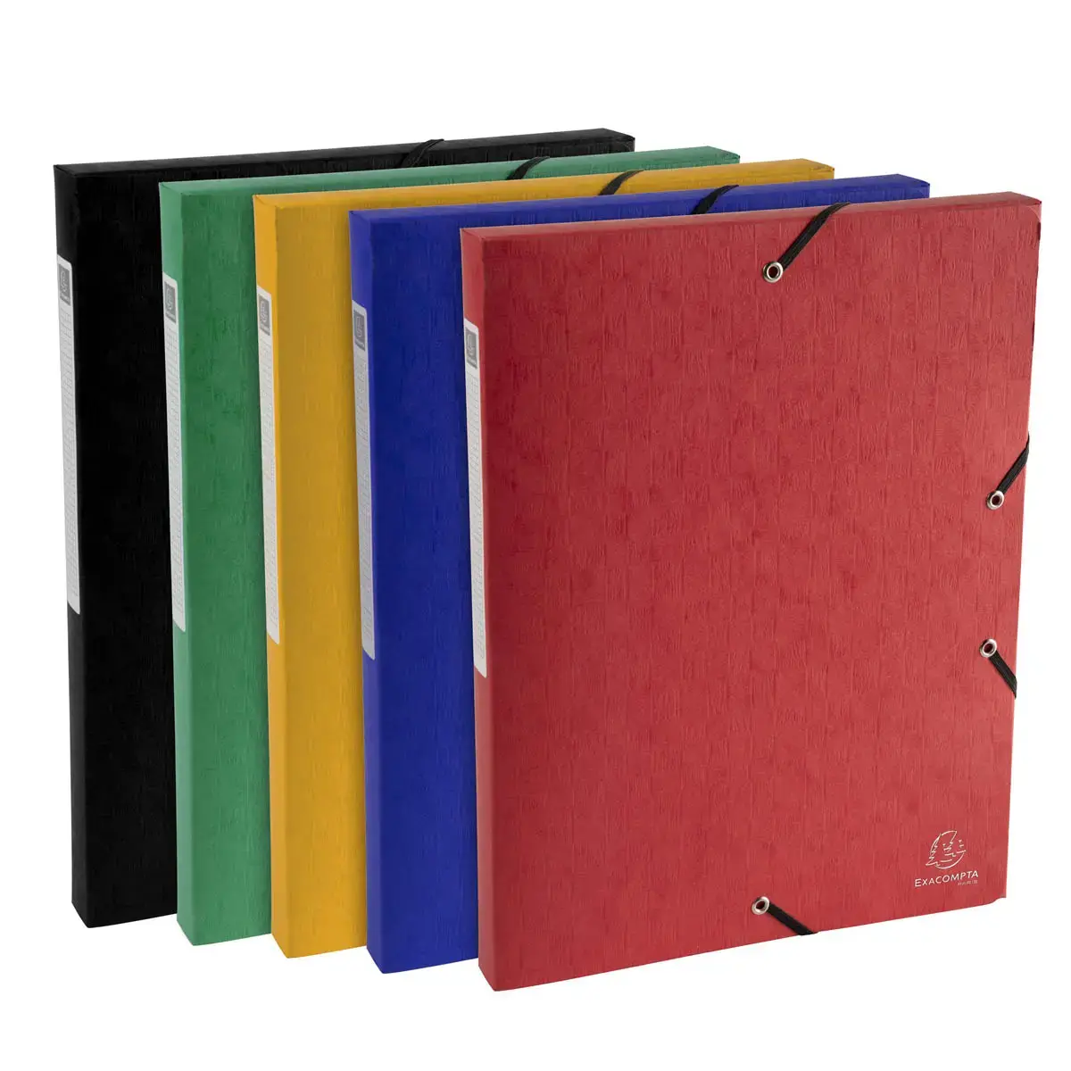 Boite de classement Exabox Dos 25mm Carte lustrée Scotten - A4 - Couleurs assorties - EXACOMPTA photo du produit