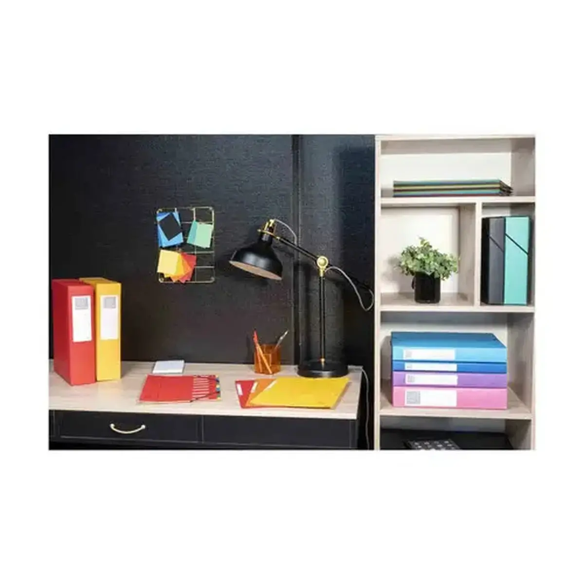 Boite de classement Exabox Dos 60mm Carte lustr&eacute;e - A4 - Couleurs assorties - EXACOMPTA photo du produit