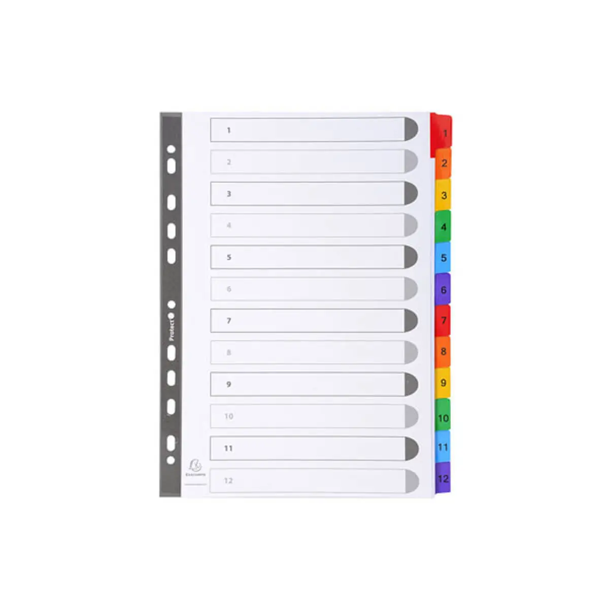 Intercalaires Imprimés numériques carte blanche 160g- 12 positions - A4 - Blanc - EXACOMPTA photo du produit