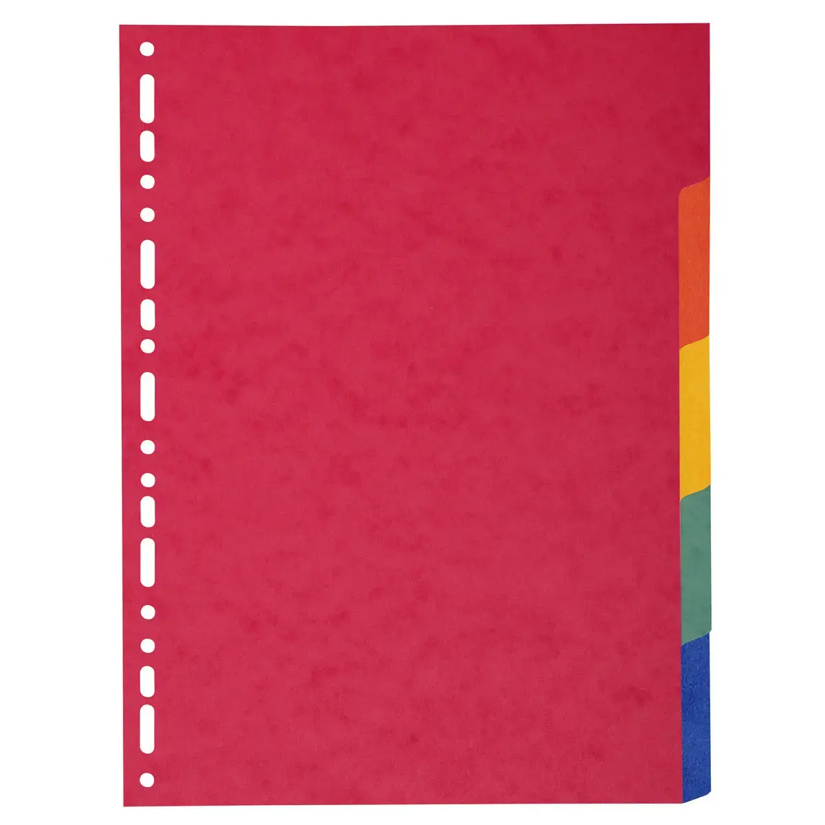 Intercalaires carte 220g 5 positions - A4 maxi - EXACOMPTA photo du produit