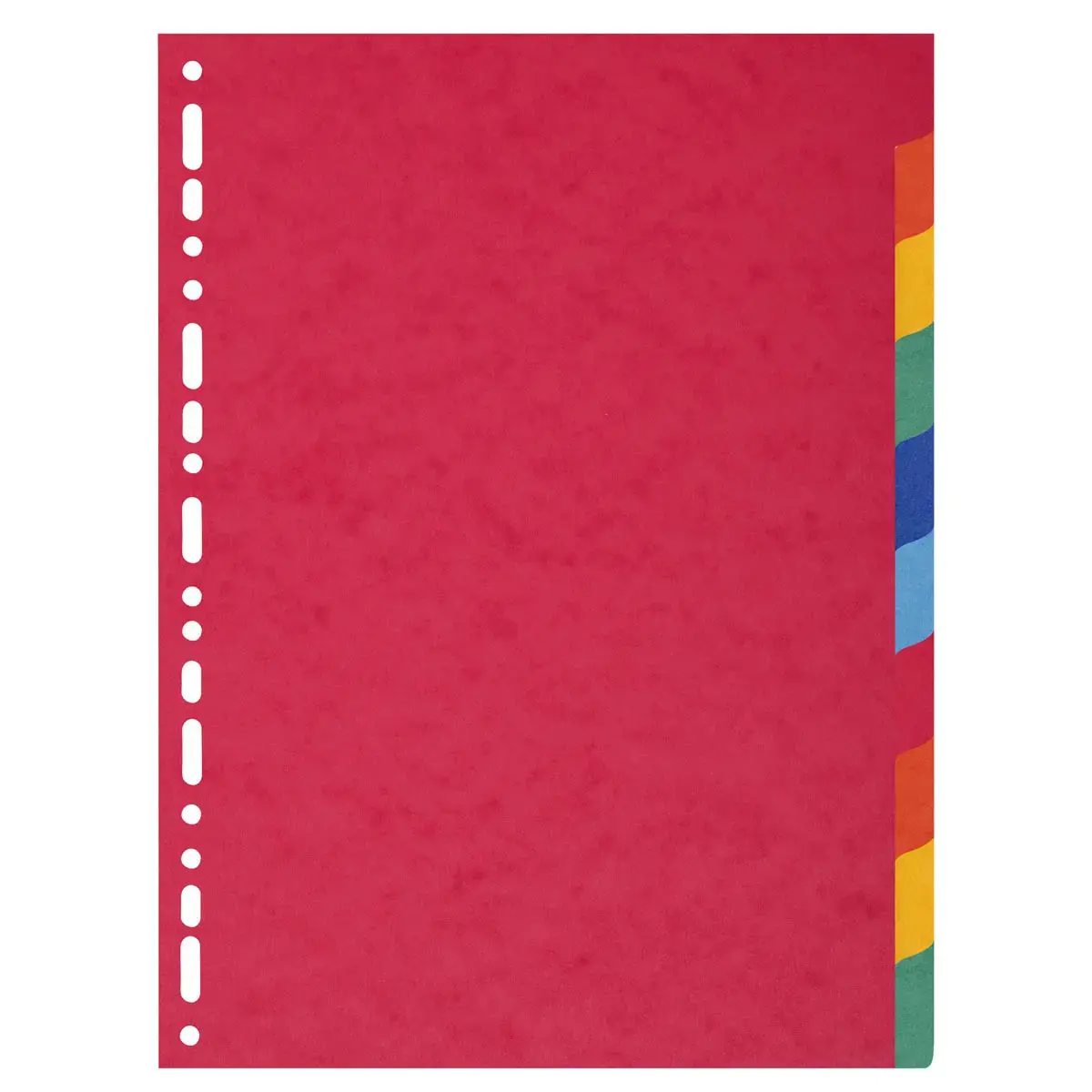 Intercalaires carte 220g 10 positions - A4 maxi - EXACOMPTA photo du produit