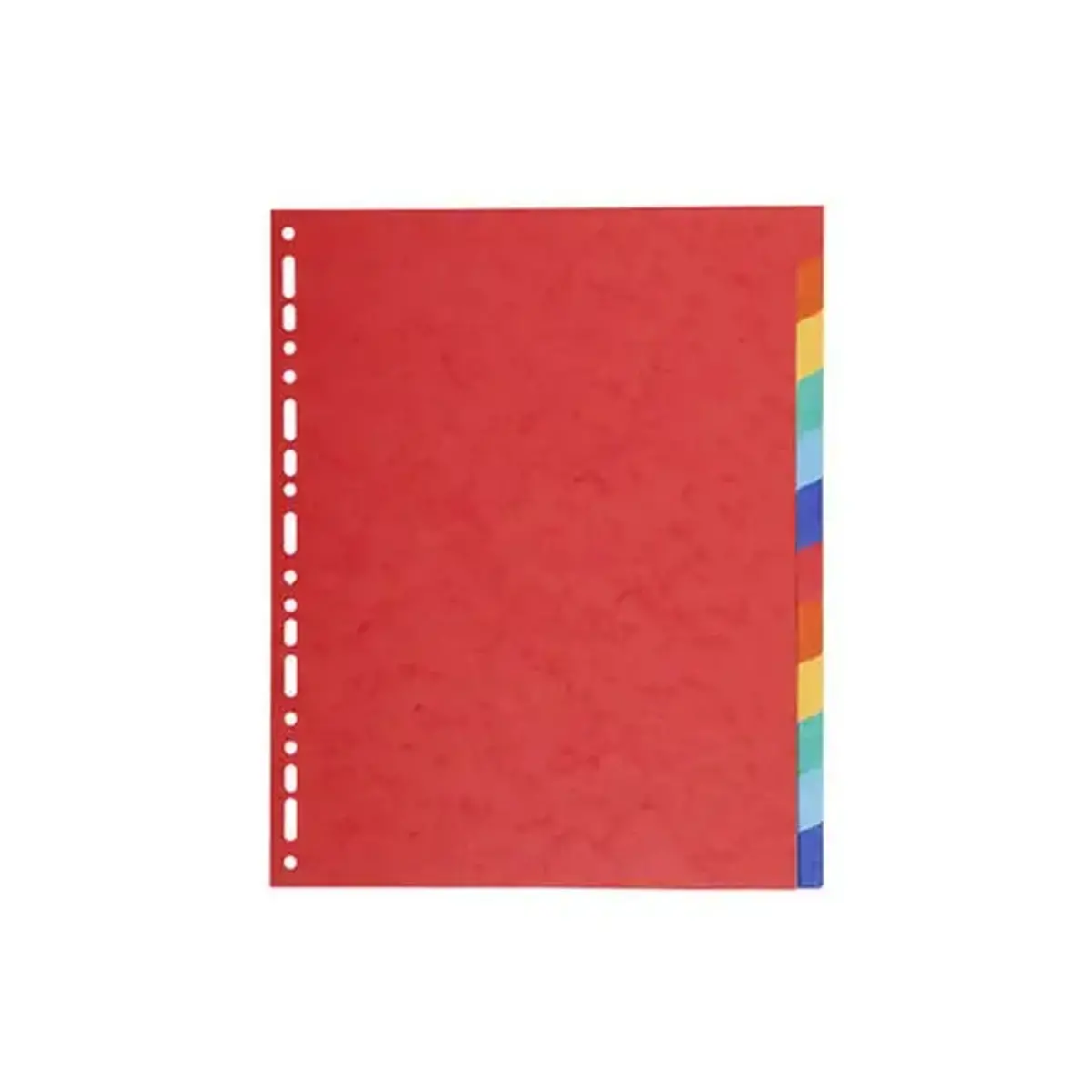 Intercalaires carte 220g 12 positions - A4 maxi - EXACOMPTA photo du produit