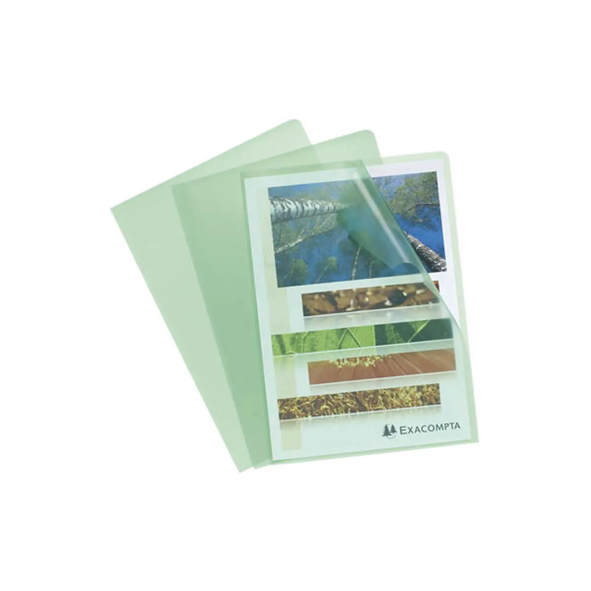Sachet 10 pochettes coin polypropyl&egrave;ne grain&eacute; 12/100e - A4 - Vert - EXACOMPTA photo du produit