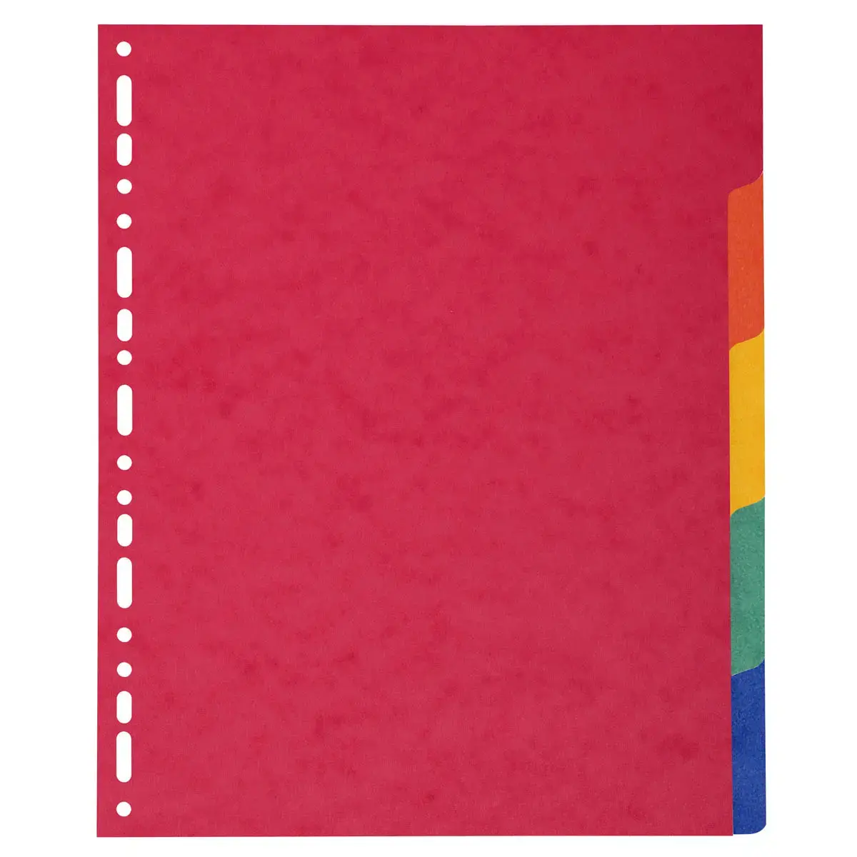 Intercalaires carte lustrée 225g 5 positions - A4 maxi - EXACOMPTA photo du produit