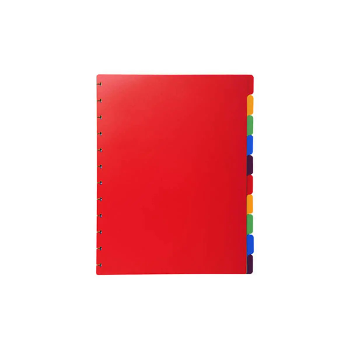 Intercalaires polypropyl&egrave;nes couleurs 10 positions pour porte-vues &agrave; anneaux - EXACOMPTA photo du produit