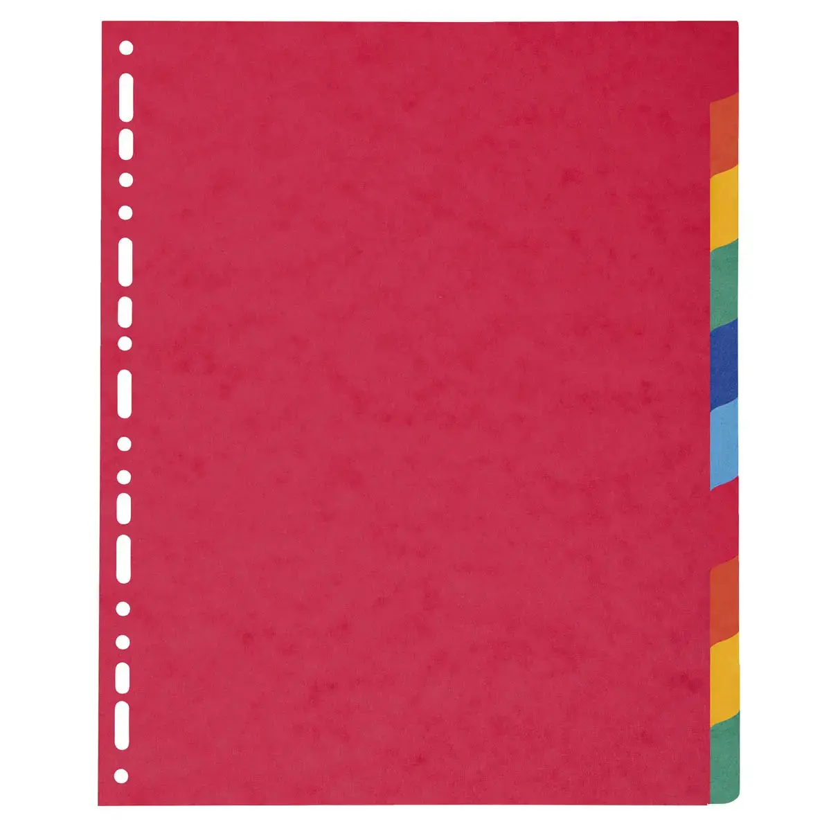 Intercalaires carte lustrée 225g 10 positions - A4 maxi - EXACOMPTA photo du produit