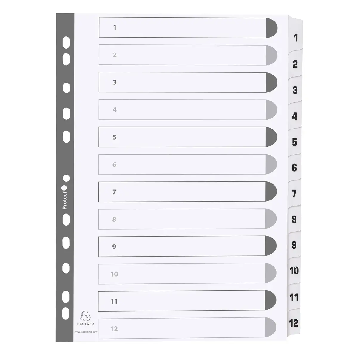 Intercalaires imprimés à touches plastifiées - 12 touches 1 à 12 - A4 - Blanc - Exacompta photo du produit