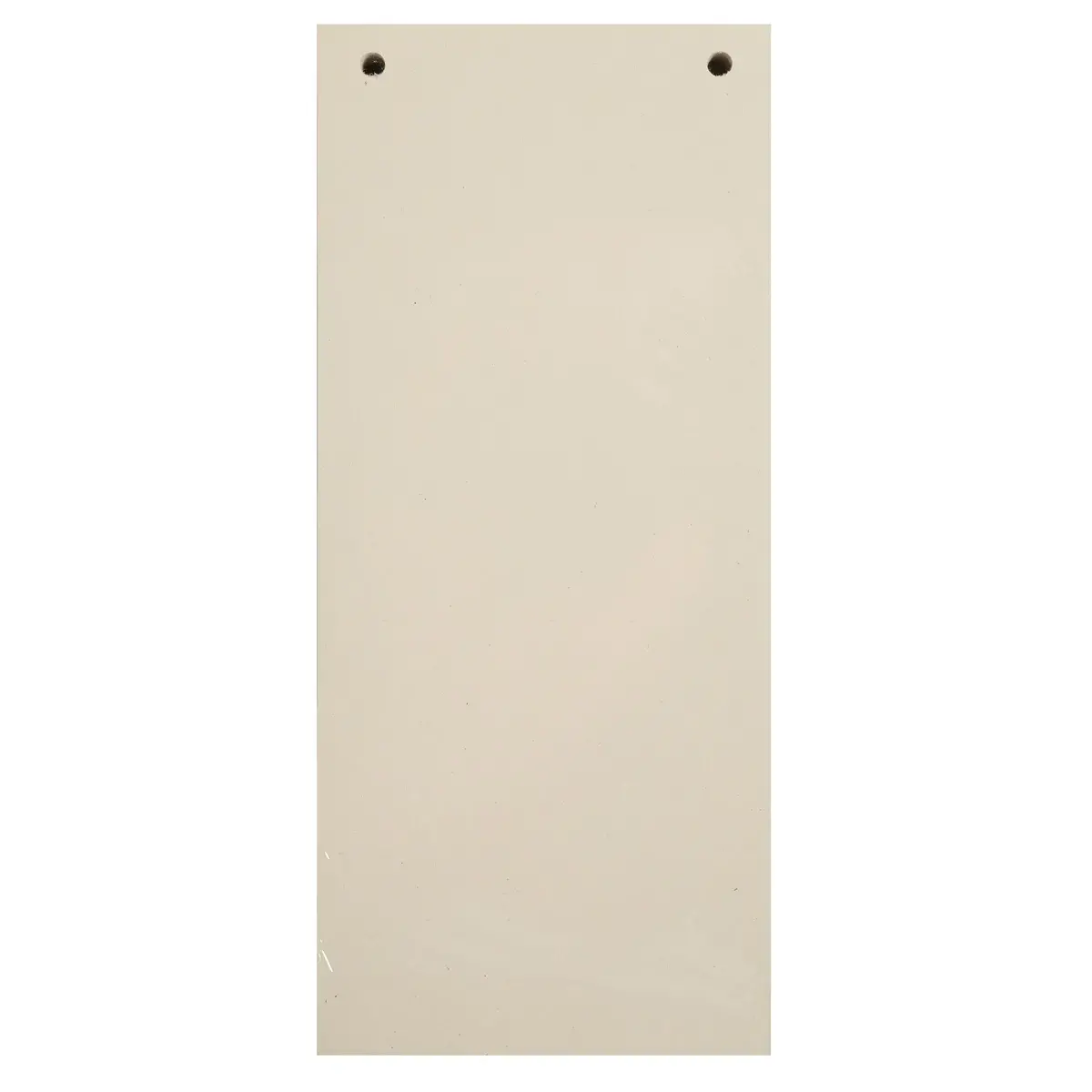 Paquet 100 fiches intercalaires horizontales unies perfor&eacute;es Forever - 105x240mm - Bulle - EXACOMPTA photo du produit