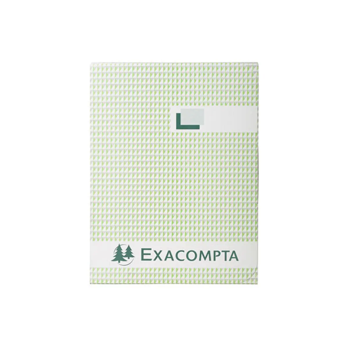 Registre 29,7x21cm 5x5 folioté 500 pages - EXACOMPTA photo du produit