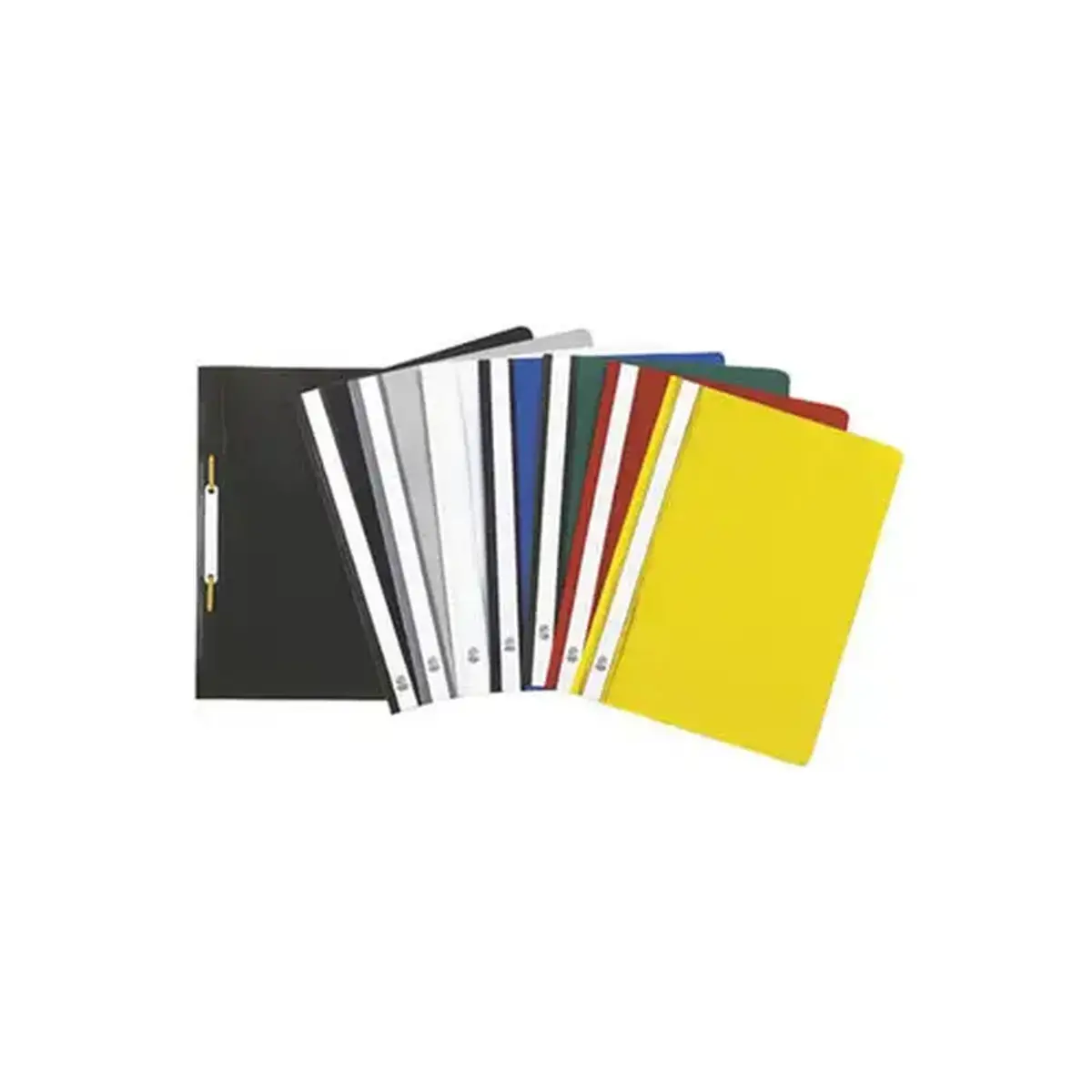 Chemise de présentation à lamelles Polypropylène standard - A4 - Couleurs assorties - EXACOMPTA photo du produit