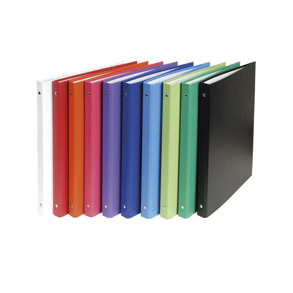 Classeur rembord&eacute; polypropyl&egrave;ne 4 anneaux 15mm - A4 - Couleurs assorties - EXACOMPTA photo du produit