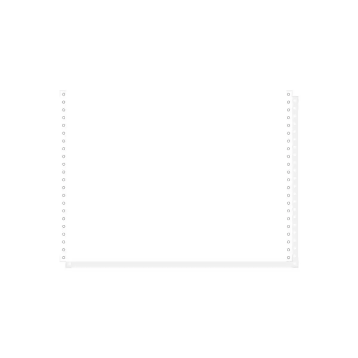 1000 feuilles de listing blanc autocopiant 380x11" 2plis Bandes Caroll D&eacute;tachables - Blanc - EXACOMPTA photo du produit