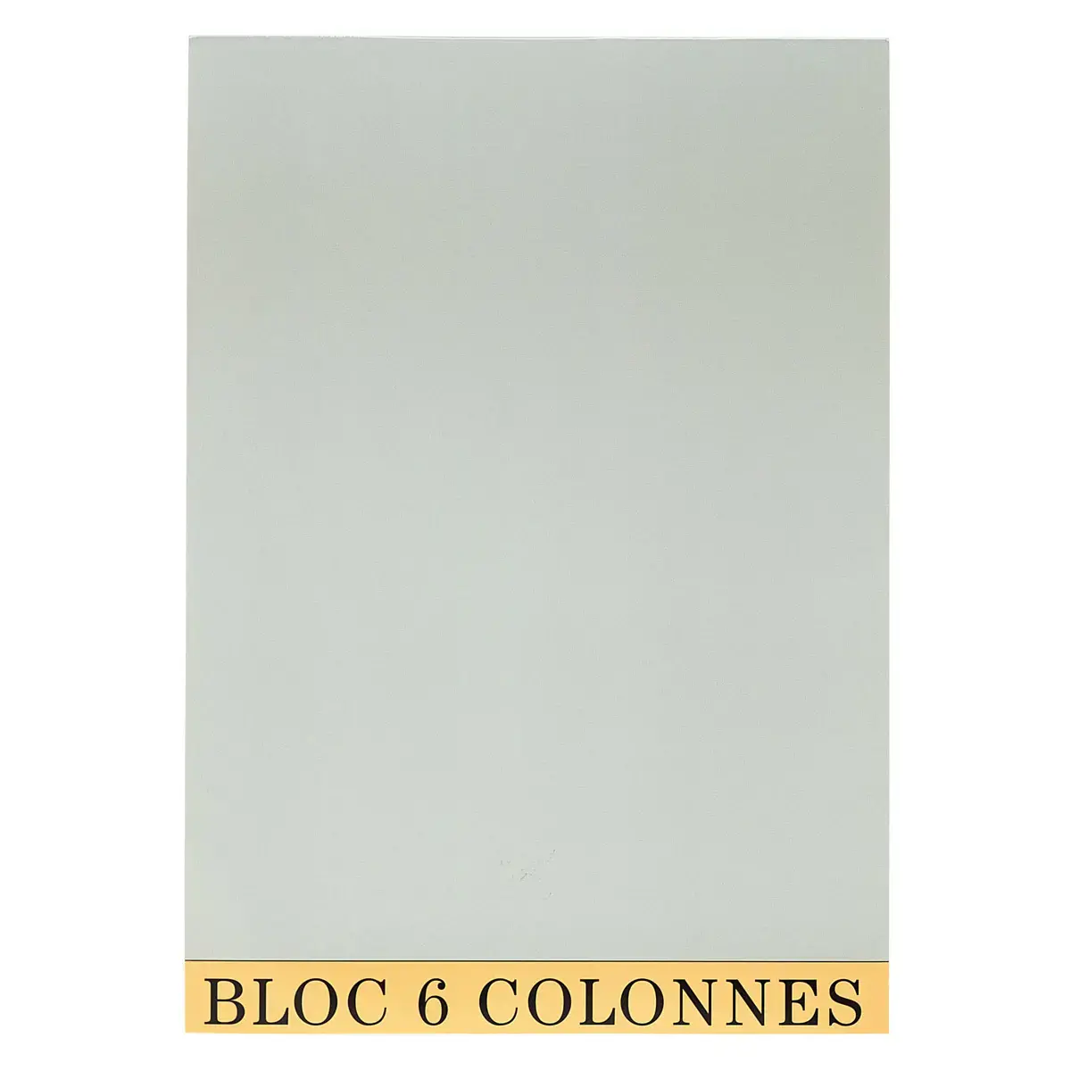 Bloc de contrôle comptable 29,7x21cm - 6 colonnes - 70 feuillets - Gris - EXACOMPTA photo du produit