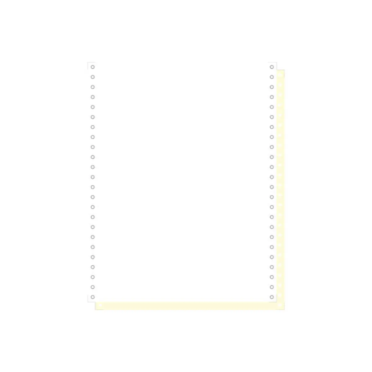 1000 feuilles de listing autocopiantes blanc/jaune 240x12" 2plis Bandes Caroll Détachables - Blanc - EXACOMPTA photo du produit