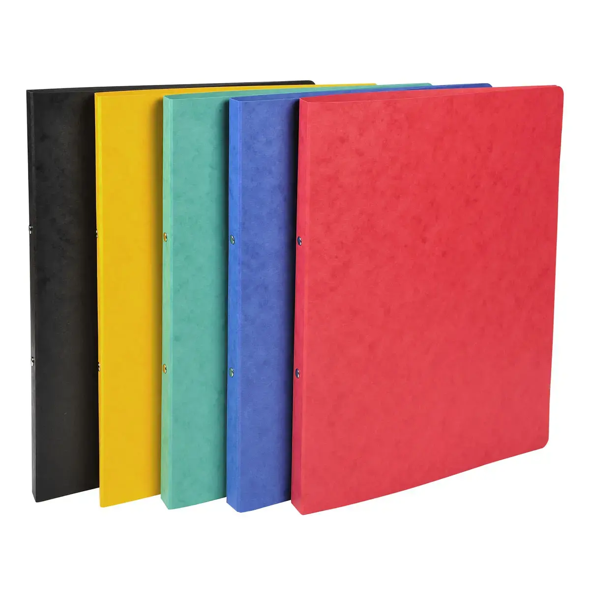 Classeur 2 anneaux 15mm Carte lustr&eacute;e - A4 - Couleurs assorties - EXACOMPTA photo du produit