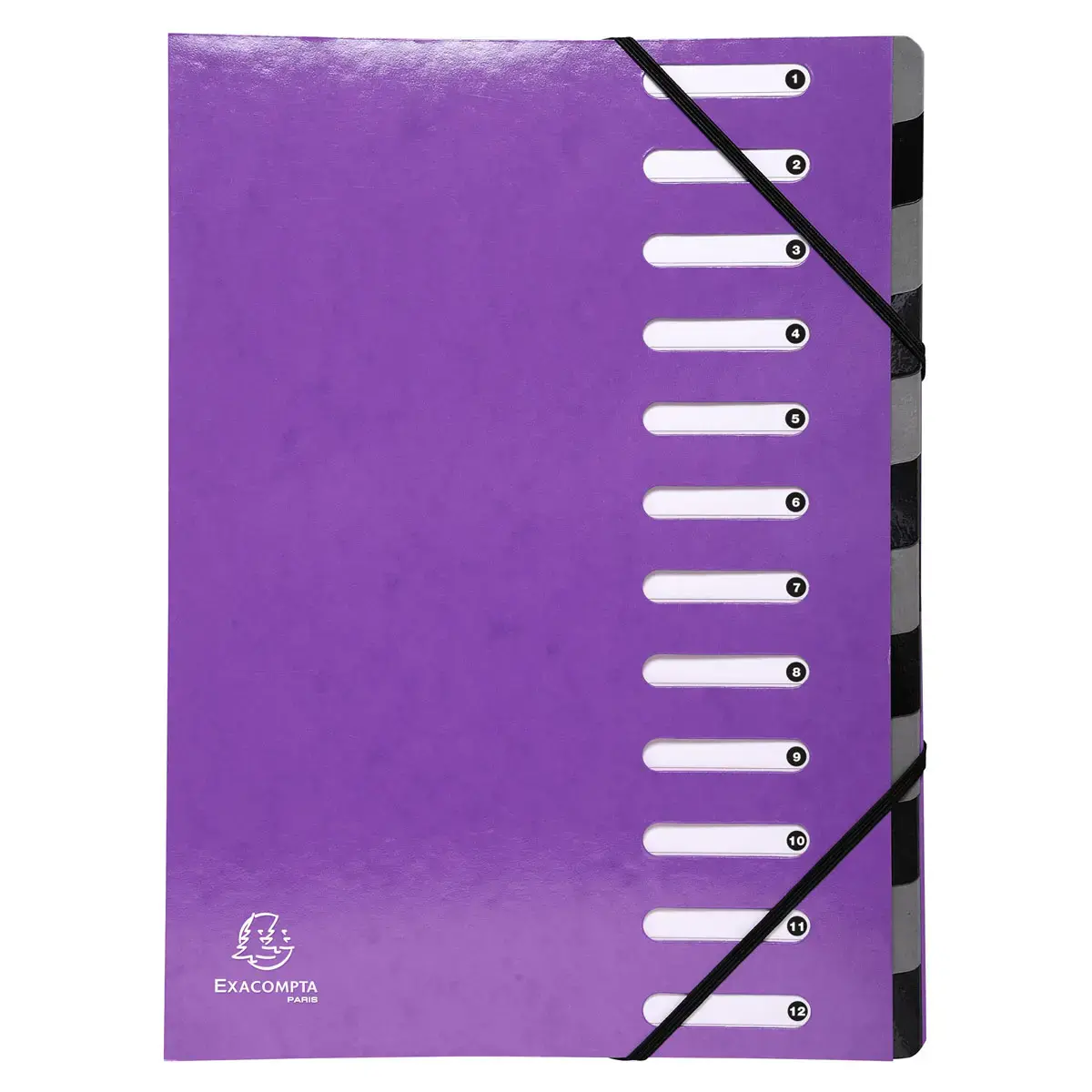 Trieur Harmonika Iderama 12 compartiments - Violet - EXACOMPTA photo du produit