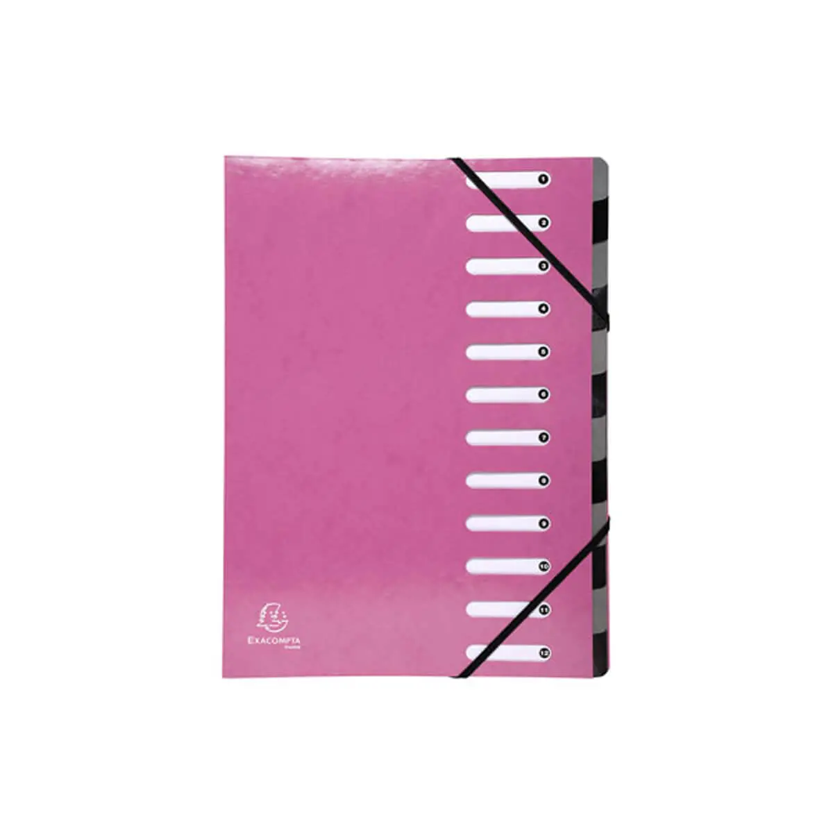 Trieur Harmonika Iderama 12 compartiments - Rose - EXACOMPTA photo du produit