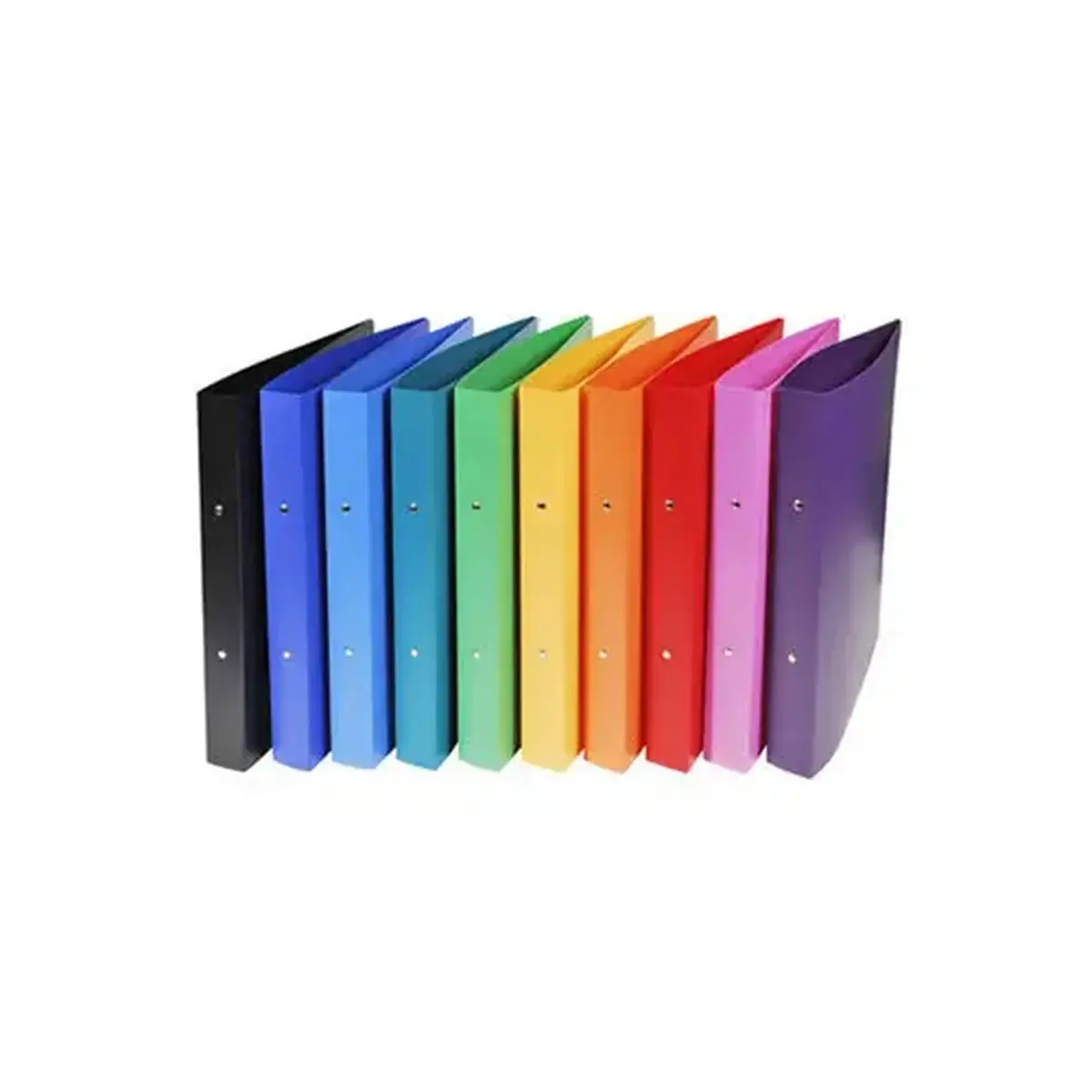 Classeur 2 anneaux 30 mm polypropylène Opak - A4 maxi. - Couleurs assorties - EXACOMPTA photo du produit