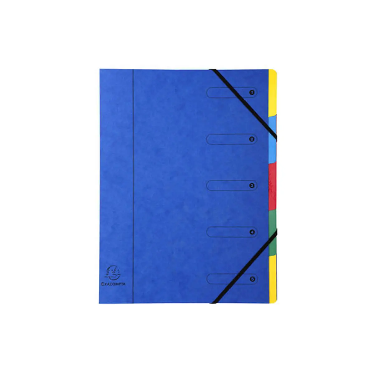 Trieur Harmonika fenêtres imprimées Nature Future carte lustrée 5 compartiments - Couleurs assorties - EXACOMPTA photo du produit