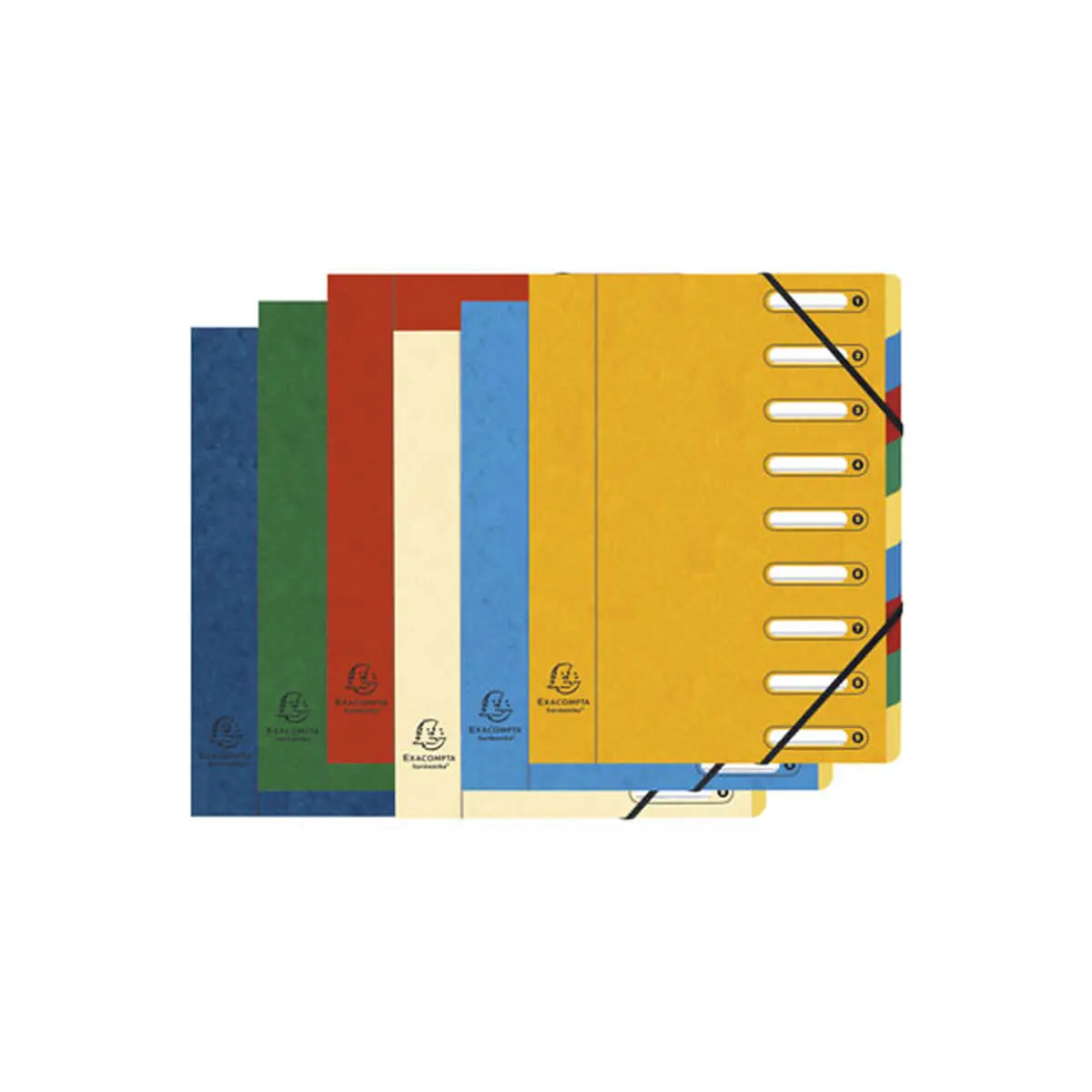 Trieur HARMONIKA® à fenêtres avec élastiques Nature Future carte lustrée 9 compartiments - Couleurs assorties - EXACOMPTA photo du produit