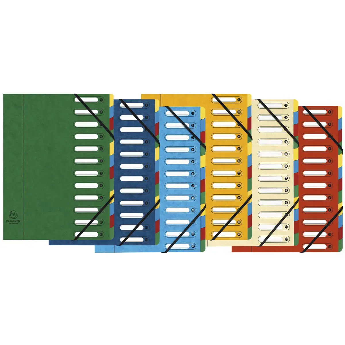 Trieur HARMONIKA&reg; &agrave; fen&ecirc;tres avec &eacute;lastiques v&eacute;ritable carte lustr&eacute;e 12 compartiments - Couleurs assorties - EXACOMPTA photo du produit