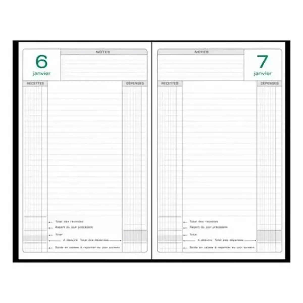 Agenda bureau 14.8 x 21 perpétuel caisse coul - Exacompta photo du produit