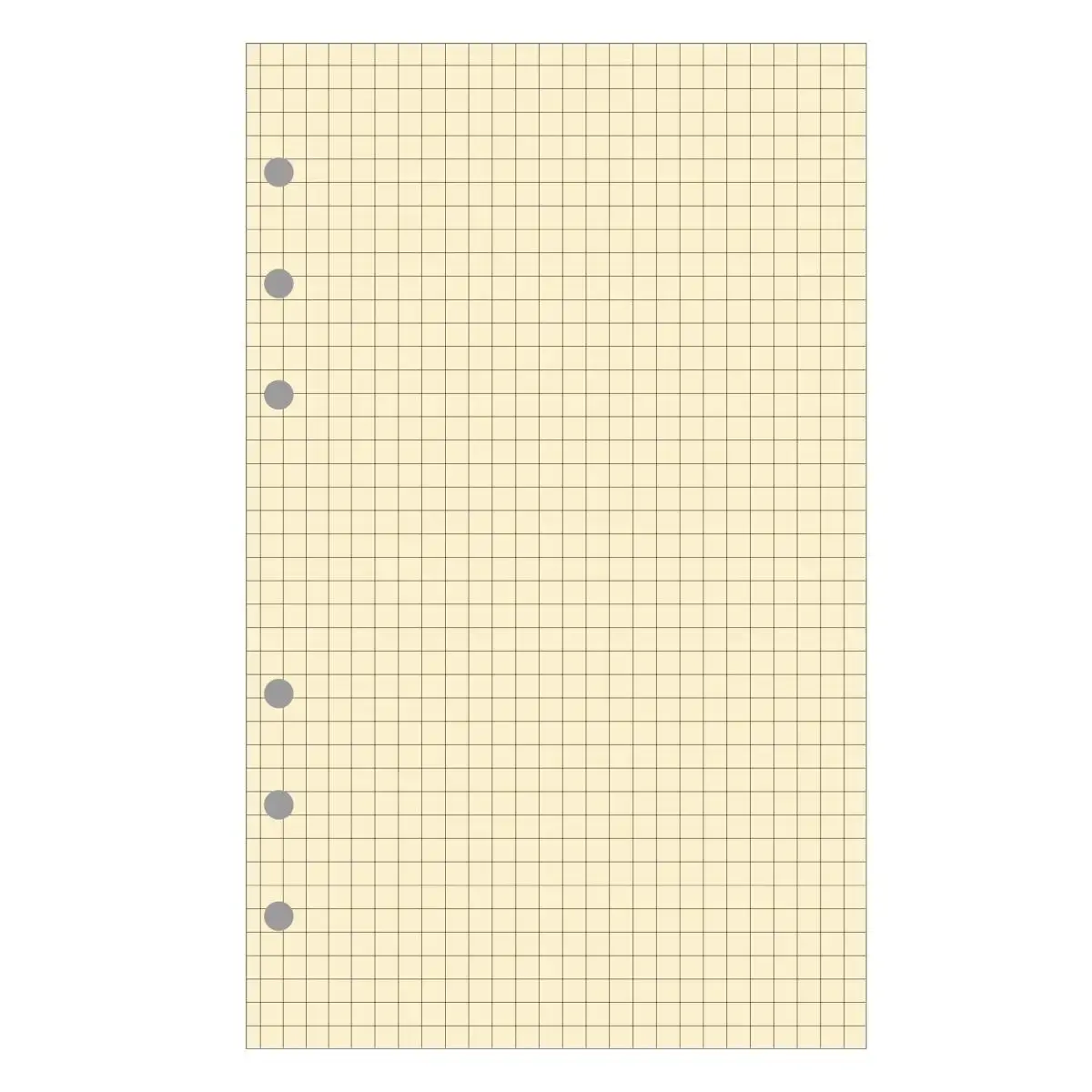 Recharge Exatime 21 bloc quadrillé - EXACOMPTA photo du produit