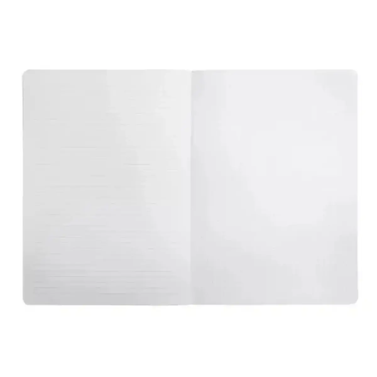 Notebook Ariel ligné et dots 21x14 - EXACOMPTA photo du produit
