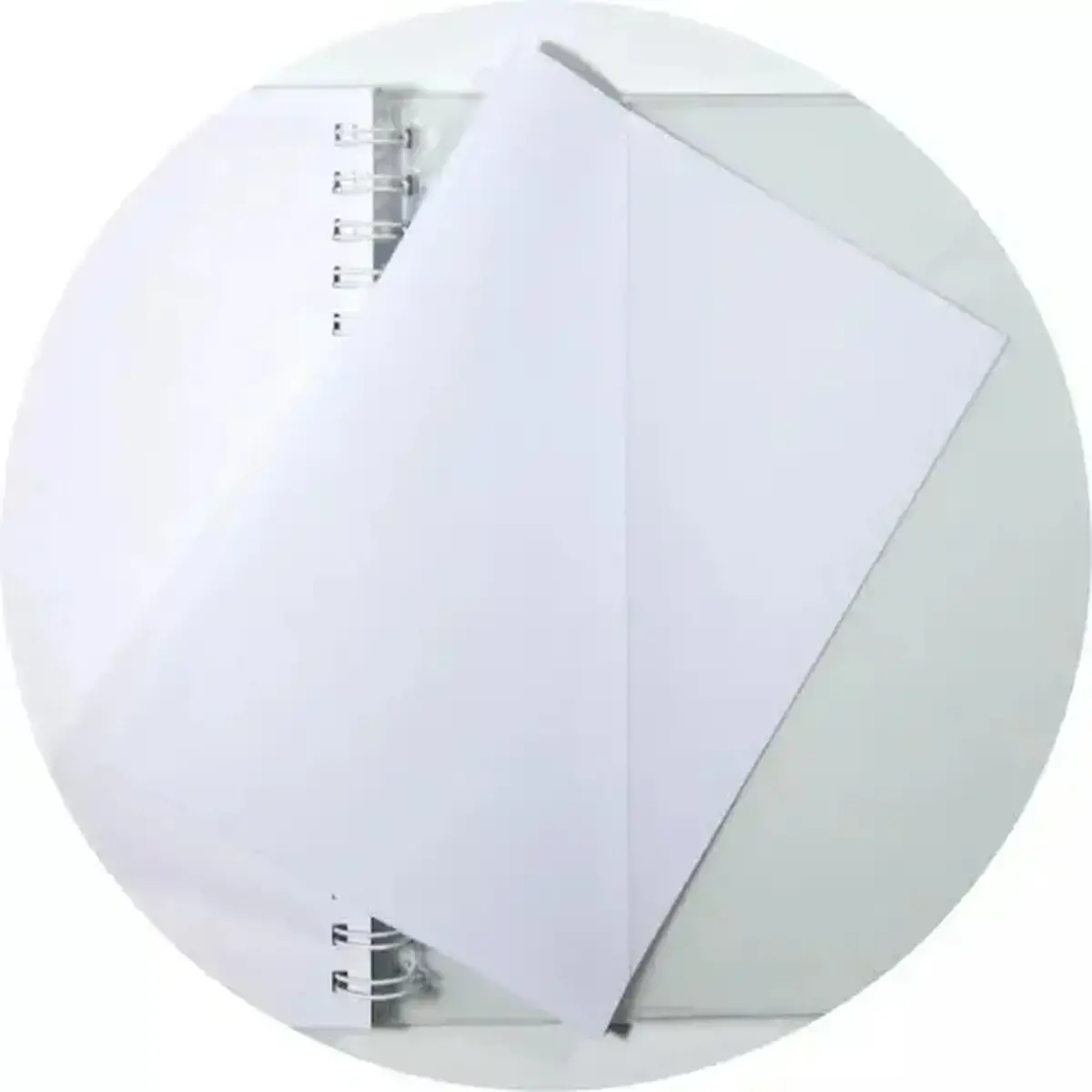 Notebook Dodo & Cath lign&eacute; 21x15 spirale - EXACOMPTA photo du produit
