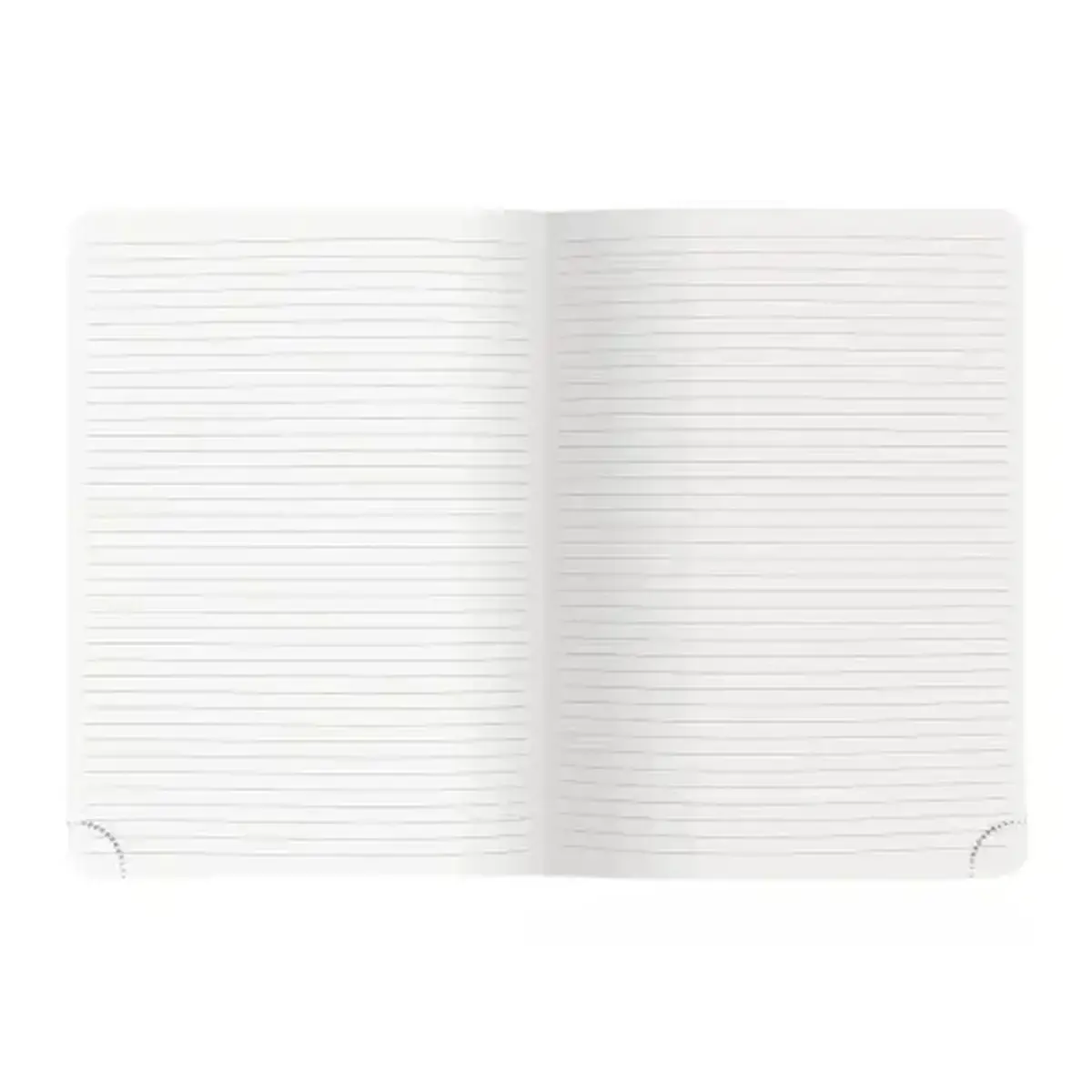 Notebook Mini Labo ligne 15 x 21 Oiseaux - Exacompta photo du produit