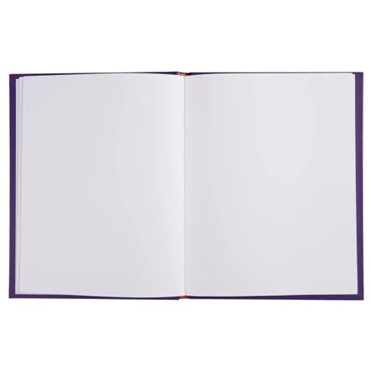 LIVRE D OR    1M.220X170 VIOLET photo du produit