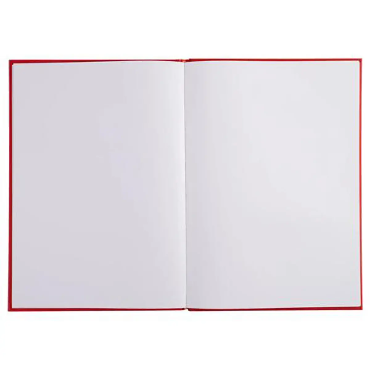 LIVRE D OR .1M. 297X210 ROUGE photo du produit
